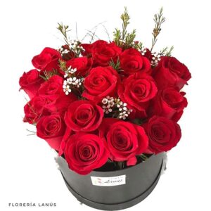 Flower Box